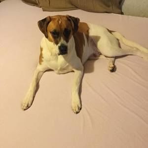 Meet your Posher, Ilah ryan